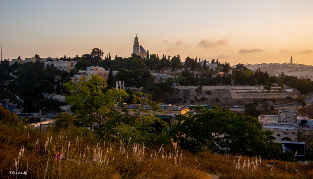 פריחת החצב בירושלים