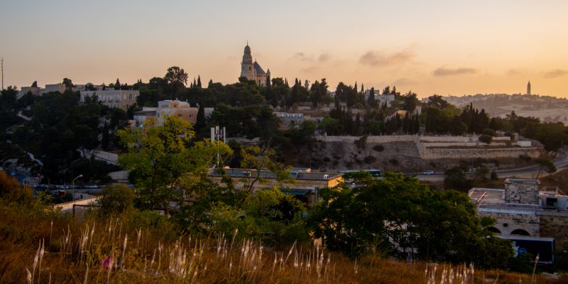 פריחת החצב בירושלים