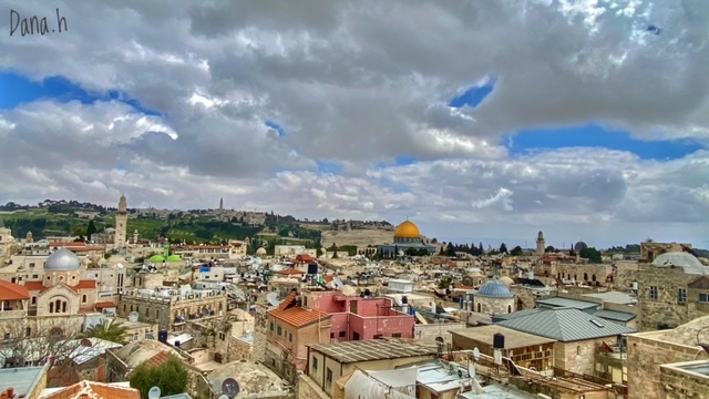 גגות העיר העתיקה בירושלים - תצפיות